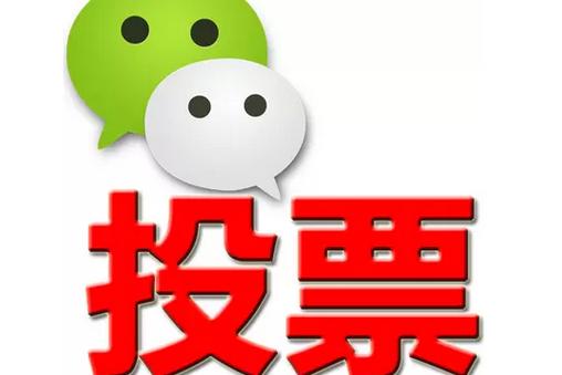 鹤岗市微信投票功能开发 上传图片投票